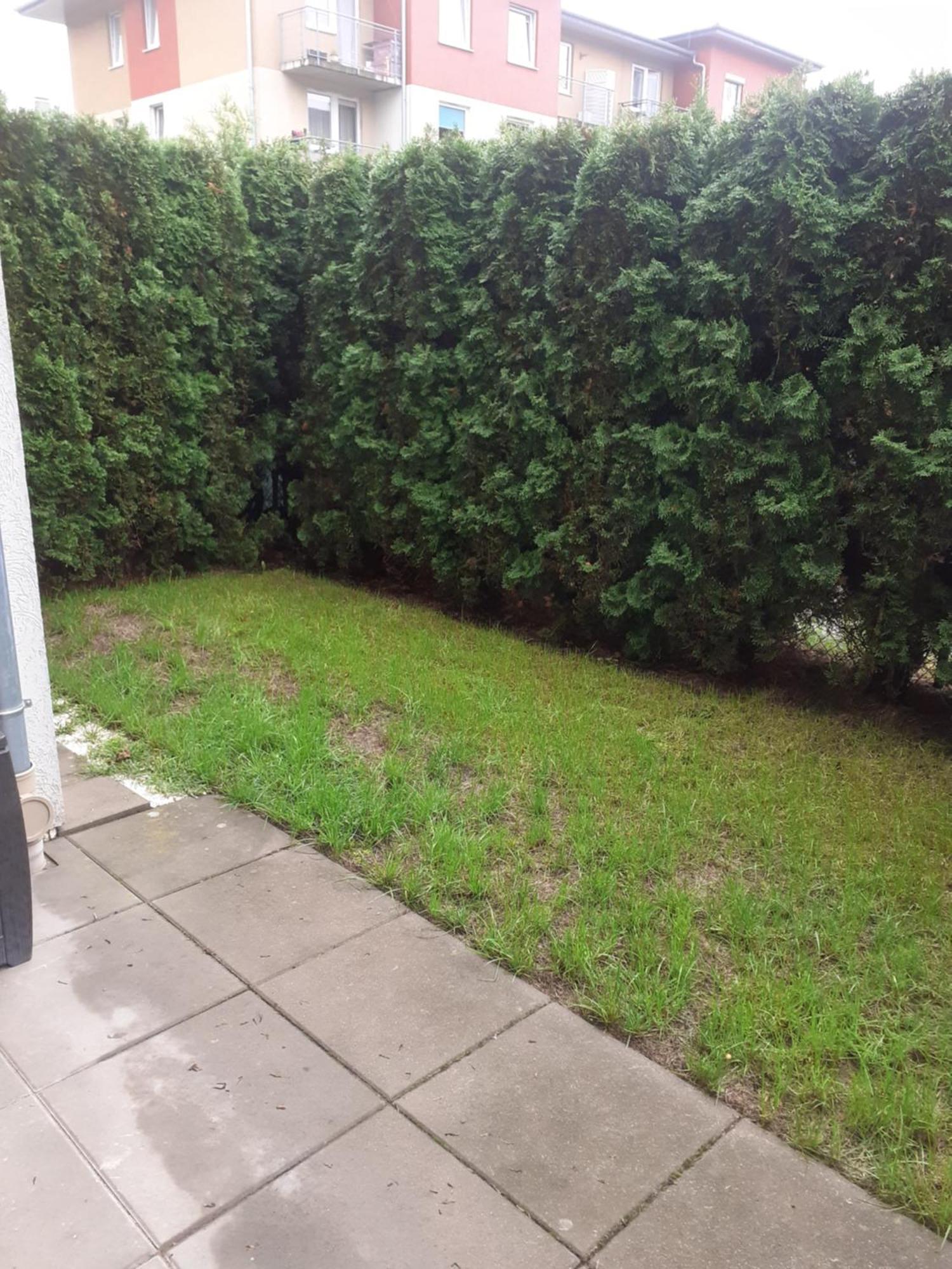 Sloneczny Apartament Z Malym Ogrodkiem Wejherowo Esterno foto